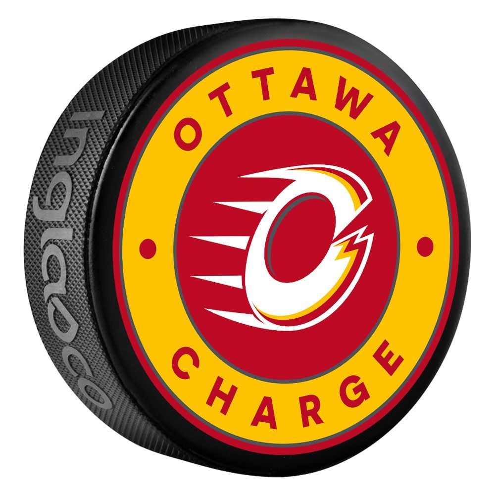 Hockey Puck, 6-oz A7Q6 - product image 1