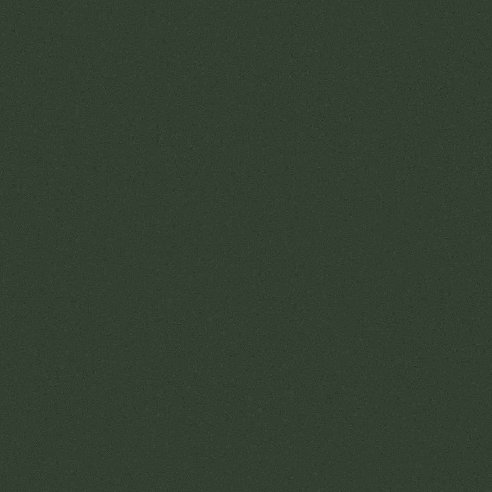 10x14-ft Green Corrosion-Resistant Lawn Care Storage Shed R8D8 - product image 7