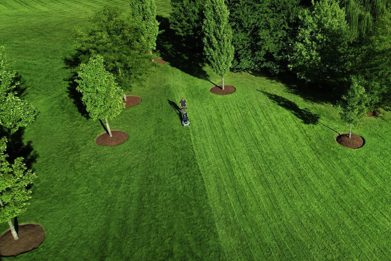 56V Brushless Cordless 21-in Self-Propelled Lawn Mower, Includes (1) 10Ah Battery and (1) 700W Turbo Charger, LM2156SP S3C6 - product image 7