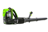 Pro 60 V 160 MPH - 540 CFM Lithium-ion Backpack Leaf Blower, Tool Only D0O6 - product image 5