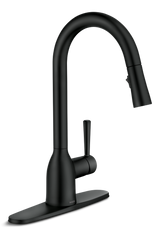 Adler Single Handle Pull-Down Kitchen Faucet, Matte Black A1T9 - product image 1