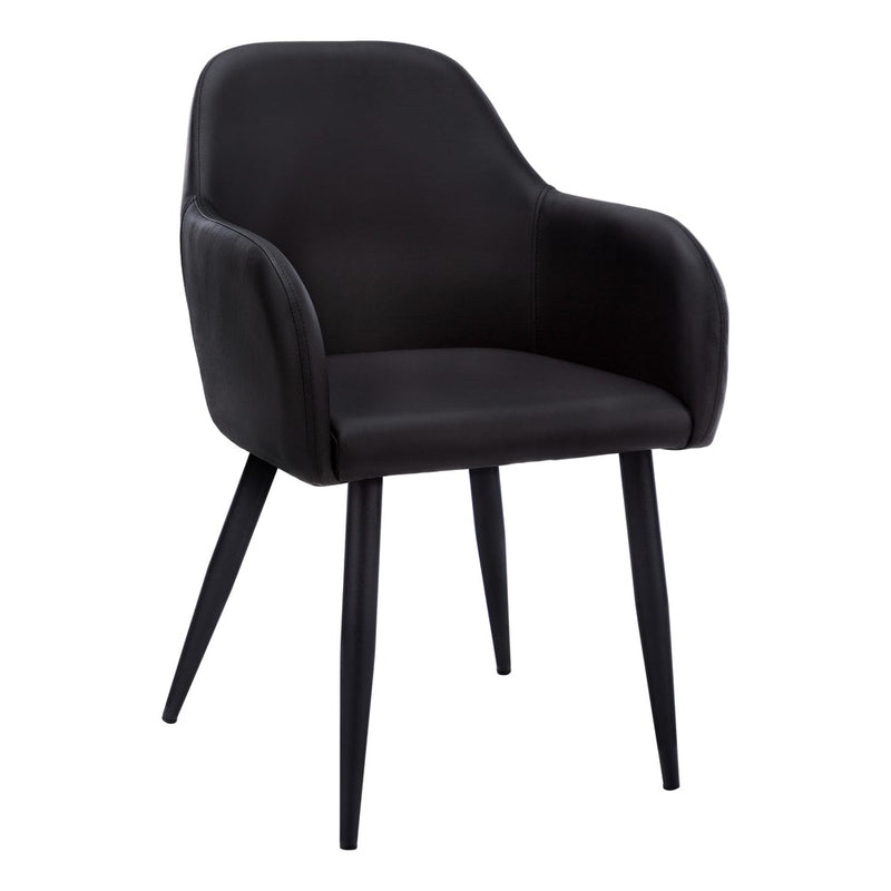 Specialities Leather Look Dining Chair Set, 2-pc X4E1