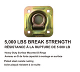 5,000-lb Heavy Duty D-Ring, Recessed Mountable N4P5 - product image 2