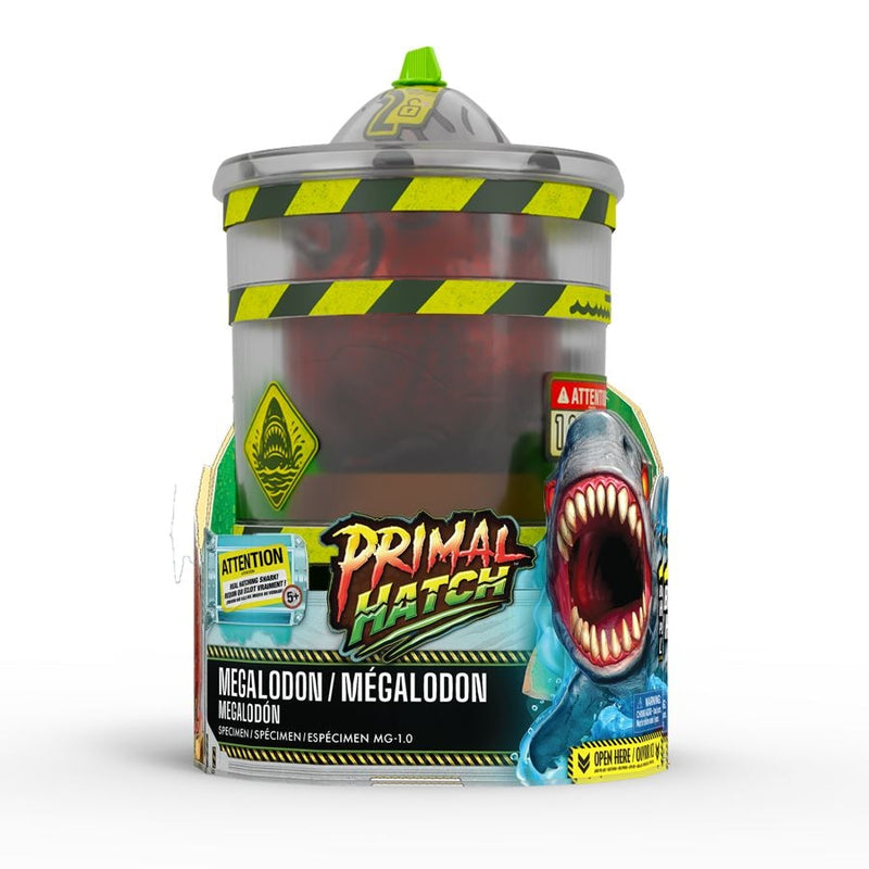 Hatch Megalodon Shark I0P6